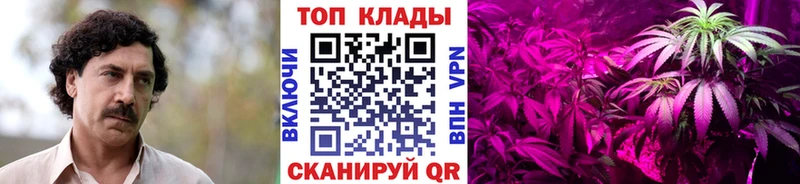 Купить Альфа ПВП  КОКАИН  АМФ  Канабис  ГАШ  Мефедрон  Пучеж