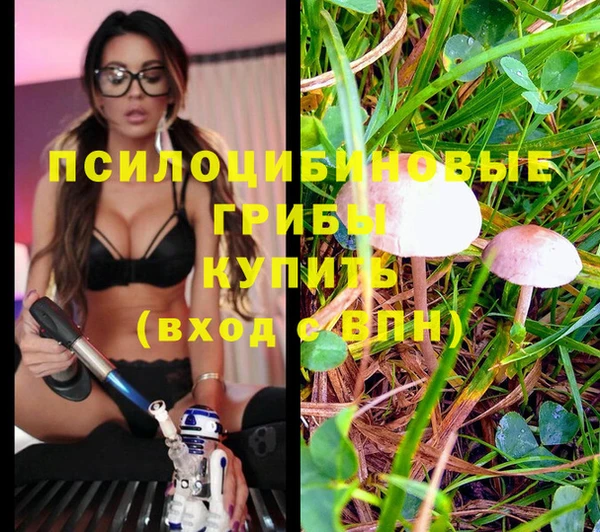 марки nbome Приозерск