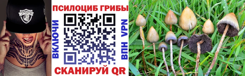 Галлюциногенные грибы мухоморы  Купить где  Пучеж 